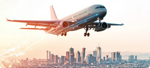 Flight booking options searchflightfares.com